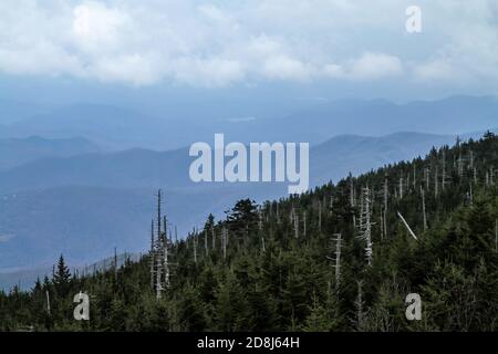 Vue sur les Blue Ridge Mountains de Caroline du Nord depuis le sommet du mont Mitchell, le plus haut sommet à l'est du Mississippi, à 6,684 mètres de haut. Banque D'Images