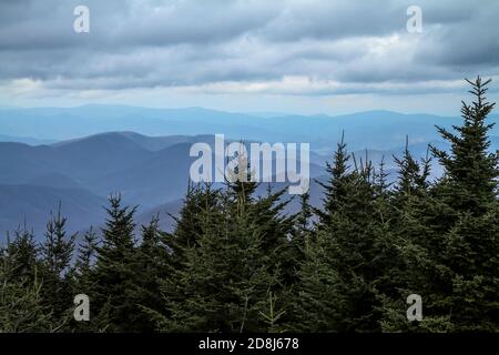 Vue sur les Blue Ridge Mountains de Caroline du Nord depuis le sommet du mont Mitchell, le plus haut sommet à l'est du Mississippi, à 6,684 mètres de haut. Banque D'Images