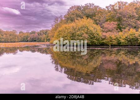 Étang romantique dans la campagne de la vallée de la Loire - près de Langeais - France Banque D'Images