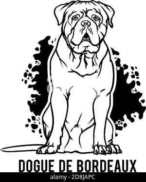 Dogue de Bordeaux - chien tête heureuse Paw Puppy Pup PET clip Art K-9 COP police logo SVG PNG Clipart Coupe en coupe vectorielle Illustration de Vecteur