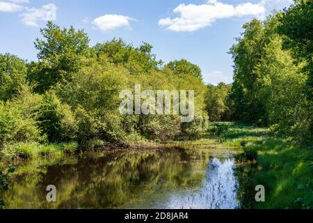 Étang romantique dans la campagne de la vallée de la Loire - près de Langeais - France Banque D'Images