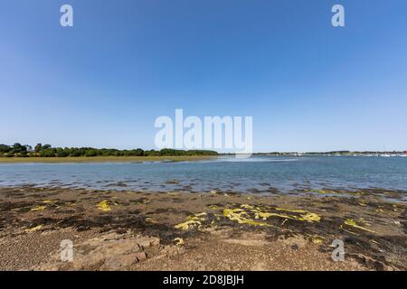 Plage de Conleau, vannes - Golfe du Morbihan, Bretagne, France Banque D'Images