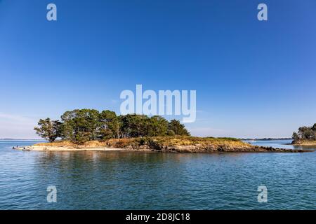 Golfe du Morbihan, Bretagne, France Banque D'Images