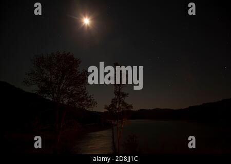 Vue sur une forêt et des collines sous la lumière de la lune la nuit. Banque D'Images