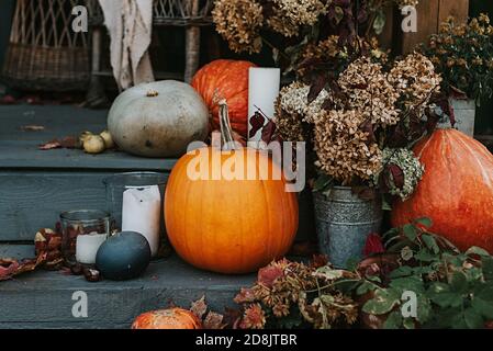 porche de l'arrière-cour décoré de citrouilles en automne Banque D'Images