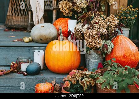 porche de l'arrière-cour décoré de citrouilles en automne Banque D'Images