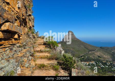 Sentier de randonnée à la montagne de la Table et vue sur la montagne de la tête du lion au loin, parc national de la montagne de la Table, le Cap, Afrique du Sud Banque D'Images