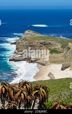 Cap de bonne espérance et plage de Dias, péninsule du Cap, Afrique du Sud Banque D'Images