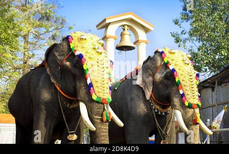 Deux éléphants de festival indiens Banque D'Images