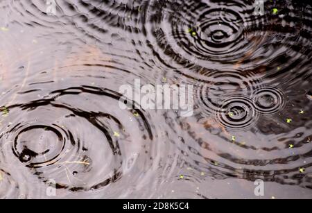 Ondulations formées par des gouttes de pluie sur un étang Banque D'Images