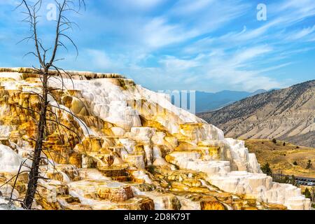 Mammoth Hot Springs dans le Parc National de Yellowstone, Wyoming Banque D'Images