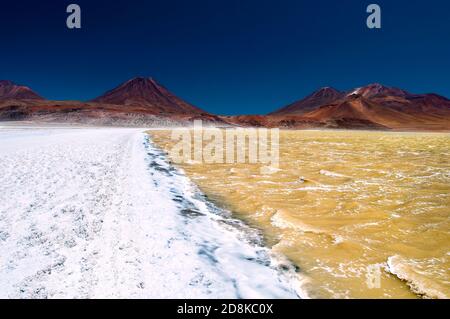 Laguna Lejía est un lac salé situé dans l'Altiplano de la région d'Antofagasta au nord du Chili. Banque D'Images