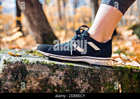 Concept de sport de course à pied. Gros plan des chaussures de course pieds nus pour femme. Jogging féminin en automne Banque D'Images