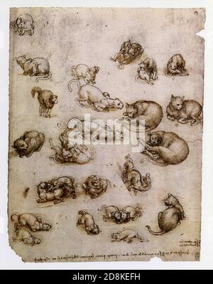 Leorado da Vinci. Chats, lions et un dragon .1513-1514. Stylo et encre avec touches de lavage sur craie noire avec décalage rouge. Banque D'Images