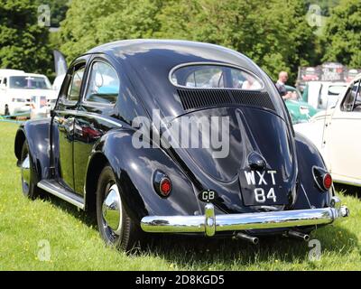 Un boson noir VW 1956 avec lunette ovale exposé lors du rassemblement annuel des propriétaires de Volkswagen à Stonor Park, Oxfordshire, Royaume-Uni Banque D'Images