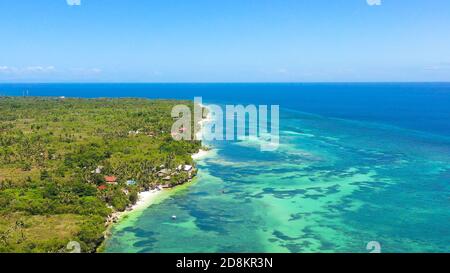 Drone aérien de la côte, mer turquoise et plage de sable. Bohol, Anda, Philippines. Banque D'Images