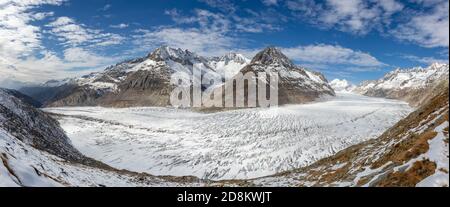 Glacier d'Aletsch vu de près en dessous de Bettmerhorn. Vue panoramique sur le glacier qui s'étend à travers la vallée entourée de montagnes enneigées. Banque D'Images