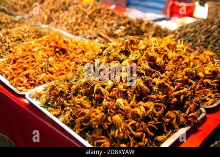 Vers et insectes frits Spicy sautés sur un marché thaïlandais. Et a beaucoup de protéines naturelles. Banque D'Images