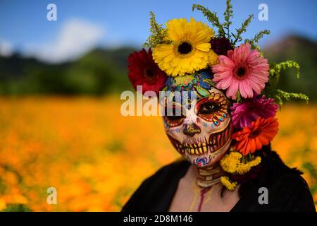 NALOLINCO, MEXIQUE - OCTOBRE 29 : une femme vêtue d'une robe noire et composée comme la traditionnelle catrina, portant des fleurs sur sa tête, regarde la caméra pendant qu'elle pose pour un photoshoot, au milieu d'un champ de fleurs Cempasuchil, Ces fleurs sont typiques dans la saison du jour des morts et sont utilisées pour donner la couleur des offrandes, à la ville de San Pablo Coapan. Le 29 octobre 2020 à Naolinco, Mexique. Crédit: Oscar Martinez/Groupe Eyepix/accès photo Banque D'Images