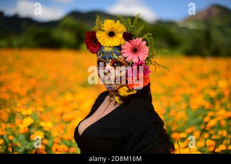 NALOLINCO, MEXIQUE - OCTOBRE 29 : une femme vêtue d'une robe noire et composée comme la traditionnelle catrina, portant des fleurs sur sa tête, regarde la caméra pendant qu'elle pose pour un photoshoot, au milieu d'un champ de fleurs Cempasuchil, Ces fleurs sont typiques dans la saison du jour des morts et sont utilisées pour donner la couleur des offrandes, à la ville de San Pablo Coapan. Le 29 octobre 2020 à Naolinco, Mexique. Crédit: Oscar Martinez/Groupe Eyepix/accès photo Banque D'Images