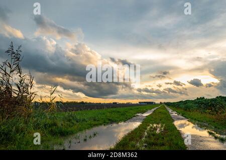 Campagne avec des flaques de pluie sur une route de terre, tandis que le dernier soleil éclairé les nuages s'éloignent Banque D'Images