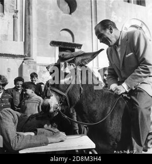 JOHN HUSTON Francisco The Donkey et HUMPHREY BOGART sur le set Emplacement Candide à Ravello, en Italie, le tournage A BATTU LE DIABLE 1953 réalisateur JOHN HUSTON roman Claud Cockburn scénario Truman Capote Et John Huston Royaume-Uni - Italie - Etats-Unis co-production Romulus Films / cher film / Santana Pictures Corporation Banque D'Images