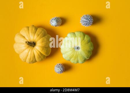 Composition d'automne. Citrouilles sur fond jaune. Automne, halloween concept. Conception plate, vue de dessus. Banque D'Images