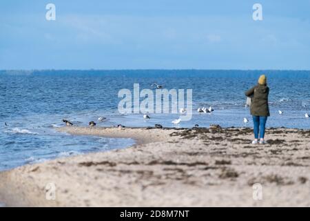 Sandy Cypel Rewski sur Zatoka Pucka (baie de Puck) à Rewa, Pologne. 8 octobre 2020 © Wojciech Strozyk / Alamy stock photo Banque D'Images