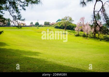 Célèbre parcours de golf 18 trous Shillong, situé dans le quartier East Khasi Hills à Meghalaya, le plus ancien parcours de golf naturel Banque D'Images