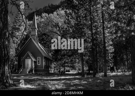 Chapelle Yosemite en noir et blanc entourée de pins Banque D'Images