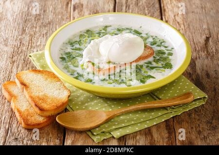 Recette soupe colombienne de petit déjeuner Changua faite à partir d'oeufs, lait, herbes et pain frit dans une assiette sur la table. Horizontale Banque D'Images