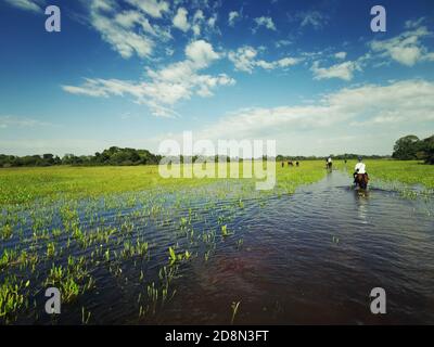 Immense ciel bleu et zones humides inondées avec des touristes à cheval, Mato Grosso, Brésil Banque D'Images