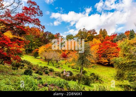 Couleurs d'automne dans le bol de l'arboretum Winkworth, Surrey, Royaume-Uni Banque D'Images