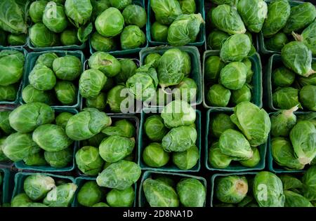 En regardant vers le bas les pousses de Brussel dans le panier de produits moulés vert pint Banque D'Images