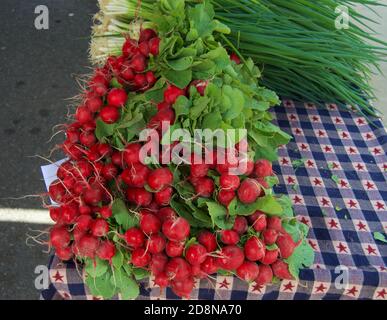 Pile de petits pains de radis rouges, sur la table pour la vente sur le marché d'un agriculteur. Banque D'Images