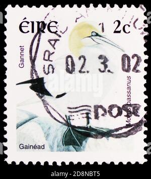 MOSCOU, RUSSIE - 8 OCTOBRE 2020 : timbre-poste imprimé en Irlande montre le Gannet du Nord (Morus bassanus), série 2002-2004 des définitions d'oiseaux, vers 200 Banque D'Images