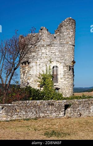 Tour médiévale en pierre, ancienne, abandonnée, en ruine, mur bas en pierre, Viviers France; été, vertical Banque D'Images