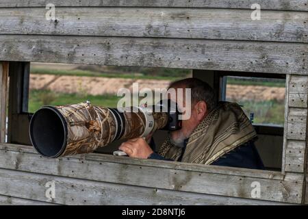 un ornithologue ou un twitcher utilisant un grand objectif sur un appareil photo pour photographier des oiseaux à snettisham sur la côte de norfolk. Banque D'Images