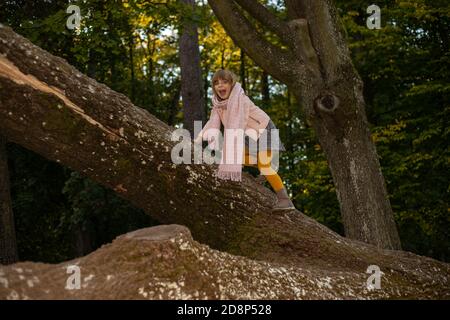 Une jeune fille grimpe d'énormes arbres dans le parc d'automne. Amusement d'enfance, activités de plein air. Jeux pour enfants Banque D'Images