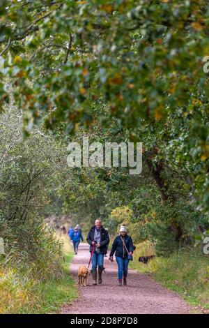 couple d'âge moyen marchant le long d'un sentier dans une forêt ou une forêt en automne Banque D'Images