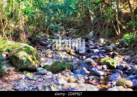 Lit de rivière Dry Minnamourra dans la forêt tropicale et le parc national de Minnamourra, par une belle journée d'été. Banque D'Images
