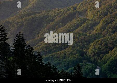 La nouvelle route de Gap se tord à travers les montagnes dans les Smokies Banque D'Images