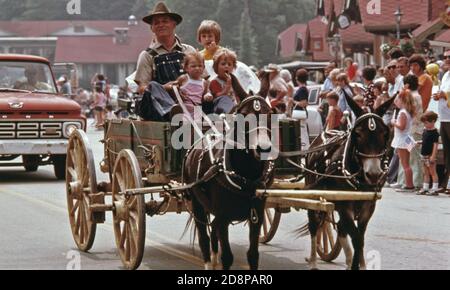 L'agriculteur du comté de White parie une équipe de mules miniature sur main Street dans le défilé du 4 juillet à Helen, en Géorgie, près de Robertstown. Helen était un petit village typique de montagne de moins de 300 jusqu'en 1969 quand les fonctionnaires de la ville; les hommes d'affaires et les résidents ont approuvé la rénovation du quartier d'affaires avec un thème alpin le projet a été un succès et a abouti à de nouvelles entreprises et une poussée du tourisme. Un rapport de planification met en garde sur la nécessité d'un équilibre entre la croissance et l'intérêt public Banque D'Images