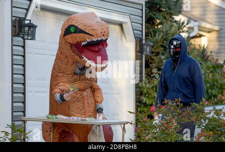 St. Charles, Illinois, États-Unis. 31 octobre 2020. Un ''T-Rex'' choisit des bonbons à partir d'une table au lieu du résident, comme Covid-19 a modifié la façon dont les enfants ont réalisé leur tour d'Halloween annuel ou de se faire traiter à Saint Charles, il, le samedi 31 octobre 2020. Crédit : Mark Black/ZUMA Wire/Alamy Live News Banque D'Images