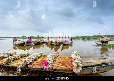 Long an province, Viet Nam - 25 octobre 2020: Belle image d'une femme rurale dans le district de Kien Tuong de long une province ramer un bateau pour récolter li Banque D'Images