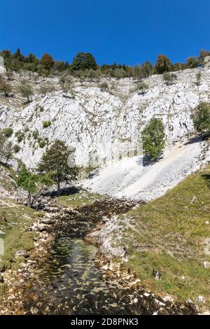 Les sources de la Saine du Jura en France Banque D'Images