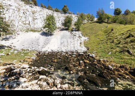 Les sources de la Saine du Jura en France Banque D'Images