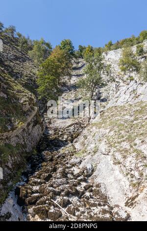 Les sources de la Saine du Jura en France Banque D'Images