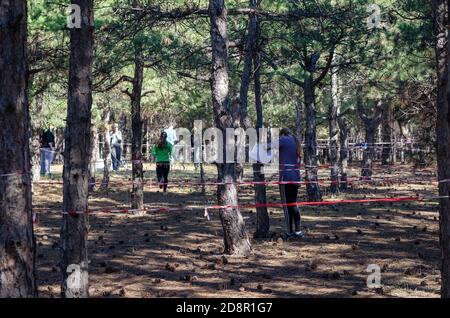 Nikolaev, Ukraine - 14 octobre 2020 : concours d'orientation sportive chez les écoliers de la forêt de pins. Compétitions sportives entre enfants. Sport, Banque D'Images