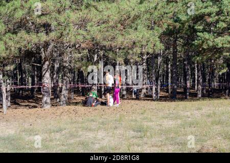 Nikolaev, Ukraine - 14 octobre 2020 : concours d'orientation sportive chez les écoliers de la forêt de pins. Compétitions sportives entre enfants. Sport, Banque D'Images